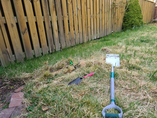 Mein erster Garten, der Garten im April, Jana Laura Lange