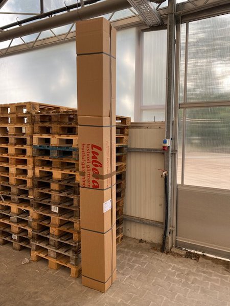 Hochstamm Versand Buchs und BZ Paket Lieferung Apfelbaum Obstbaum