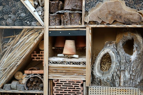 Insektenhotel für diverse Bewohner