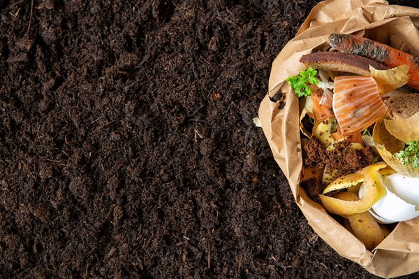 Ein Kompost ist unabdingbar zur Herstellung von Humus