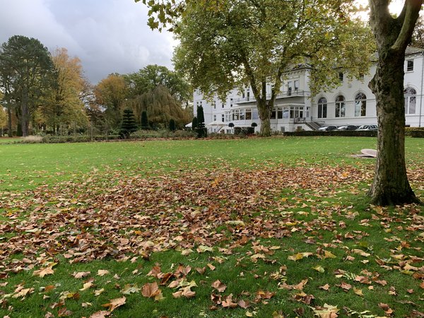 Herbstlaub Lubera