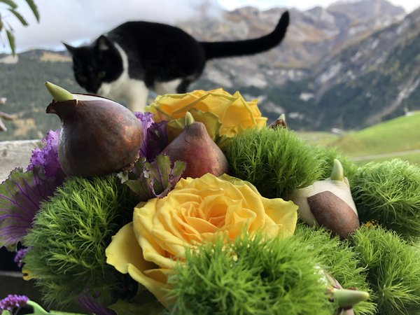 Text und Fotos: Sabine Reber