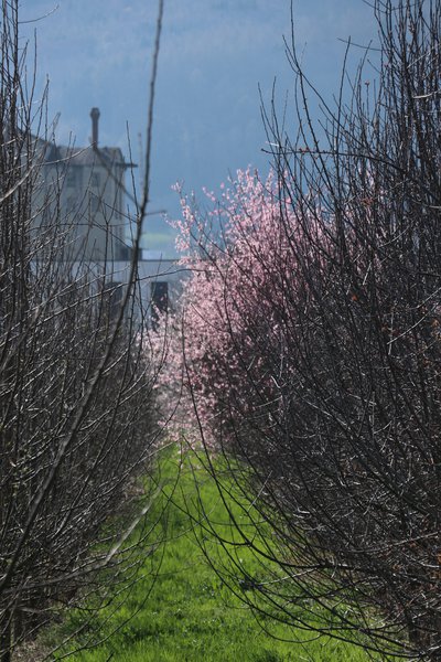 Willkommen Frühling