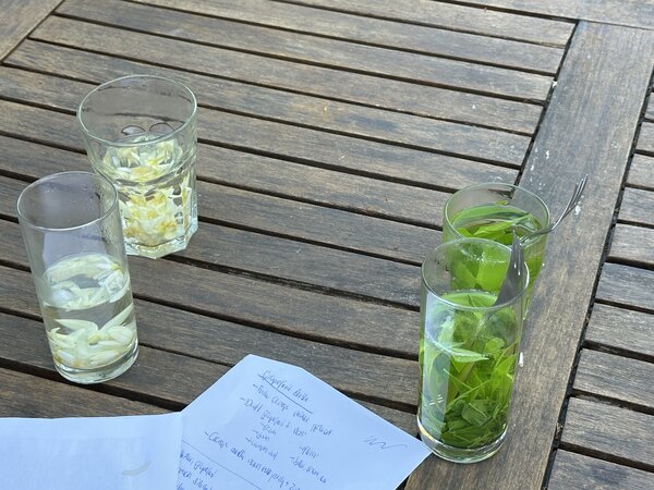 Degustation, Koffein in Zitrusblten, Tee, Orangen, Grapefruit, aus Bltter, aus Blten, vorne Orangen, hinten Grapefruit
