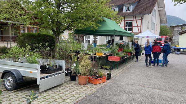 Pflanzentauschbrse Siedlergemeinschaft Klettnau e.V.