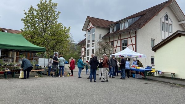 Pflanzentauschbrse Siedlergemeinschaft Klettnau e.V.