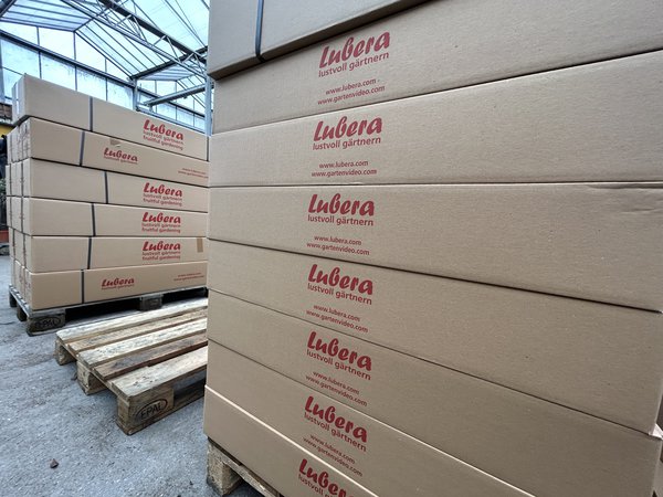 Versand, Transport, Pakete, Karton, Lieferung