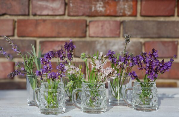  Lavendelsirup Lavendel Aromarad (korr)