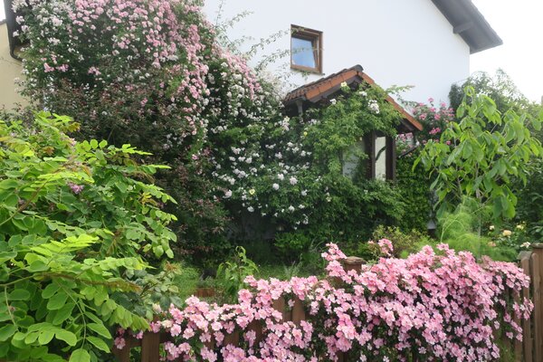 Gartensituation, Einsenderbild Umfrage April 2025
