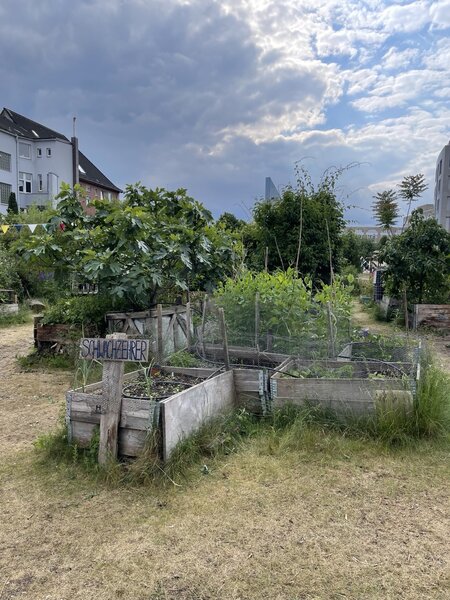 Wettbewerb Gemeinsam G�rtnern