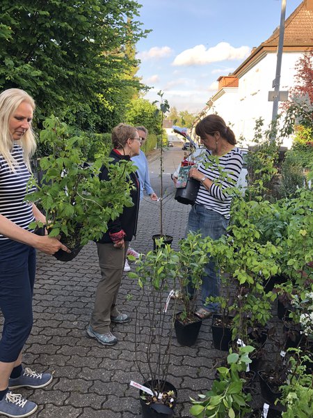 Pflanzentauschbrse ZW-Vernetzt Zweibrcken, Zusammenarbeit mit Stadtbcherei Zweibrcken Lubera