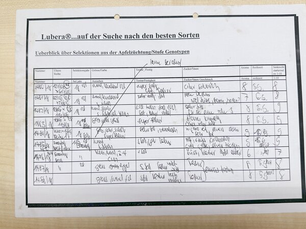 Apfel Z&uuml;chtung Lubera Notizen Eigenschaften