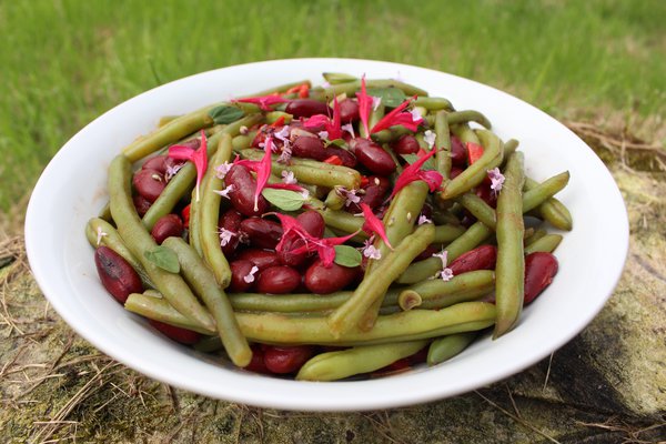 Indianernessel, Lubera, Salat mit Monardablten