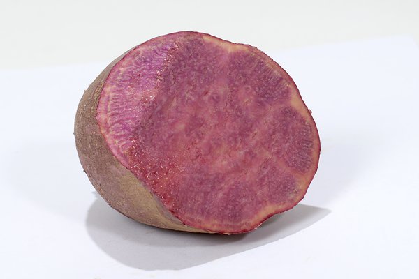 SÃ¼sskartoffel Sakura (Ipomoea batatas) Lubera