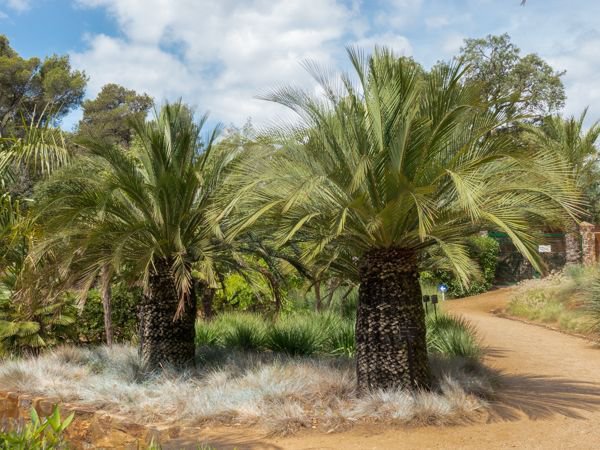 Botanischer Garten Cap Roig