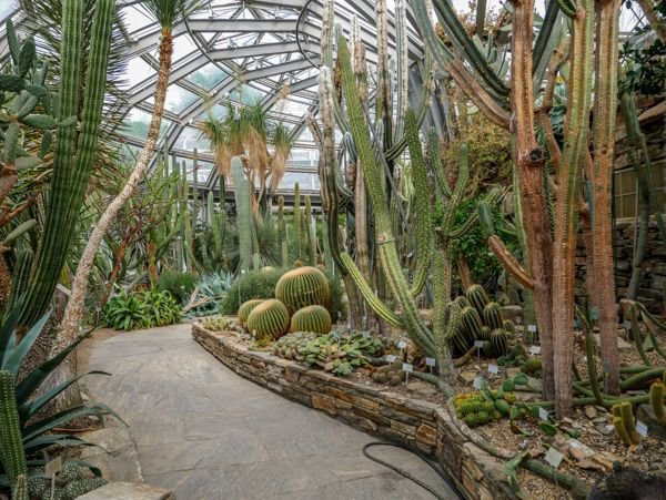 Botanischer Garten Berlin