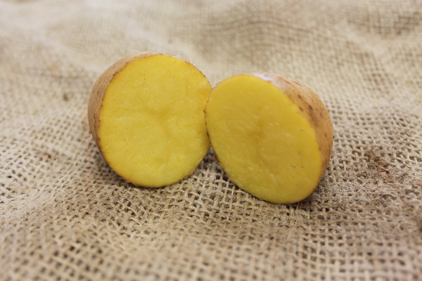 Kartoffel Mayan Gold geschnitten