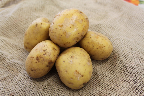 Kartoffel Vitabella gewaschen, Kartoffelturm