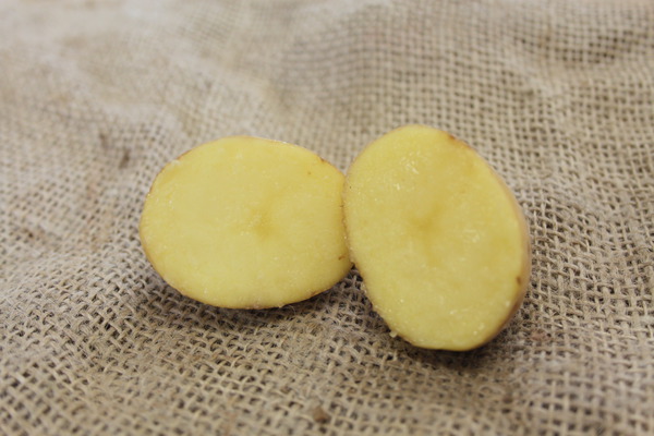 Kartoffel Vitabella geschnitten