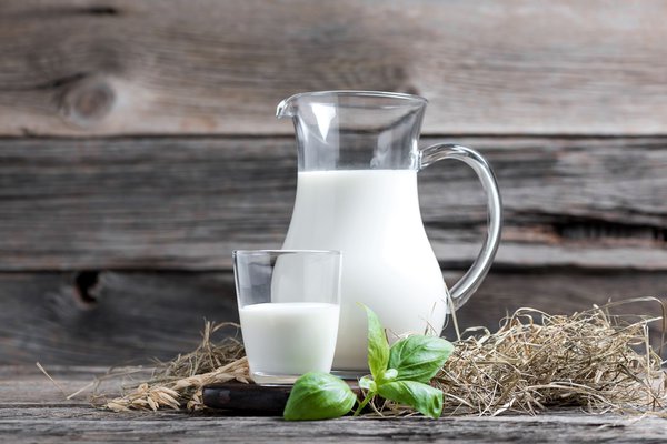 Milch eignet sich sehr gut zur Bekämpfung von Mehltau am Kirschlorbeer