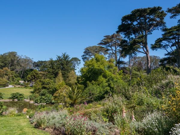 San Francisco Botanical Garden