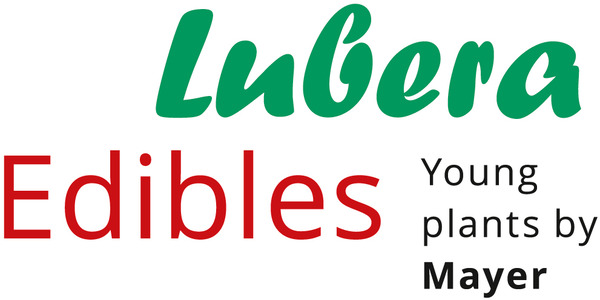 Logo Lubera Edibles