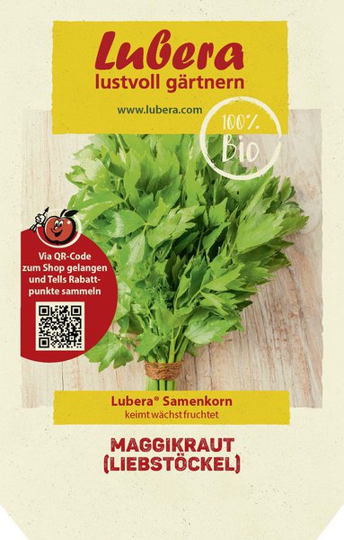 Maggikraut (Liebst�ckel) Samen