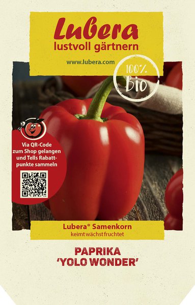 paprika aussäen