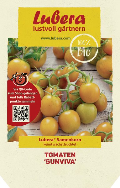 Auberginen veredeln, Tomaten Sunviva, Lubera