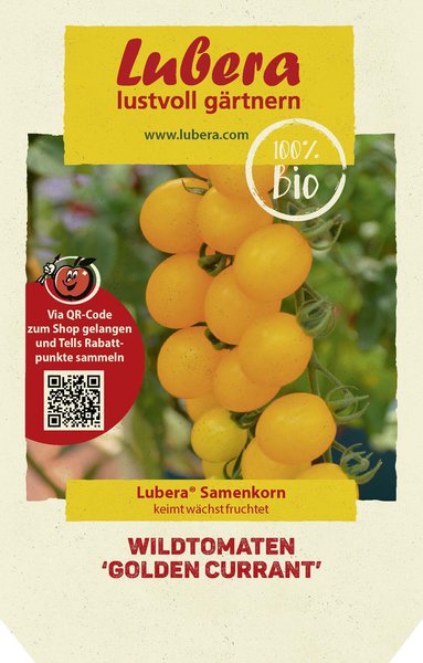 Auberginen veredeln, Wildtomate Golden Currant, Lubera