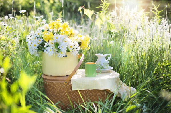 hässlicher kleiner Garten Blumen Kaffee