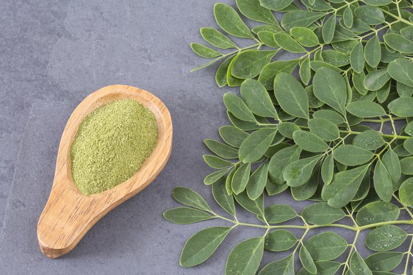 Der Moringa Baum und die Heilende Wirkung