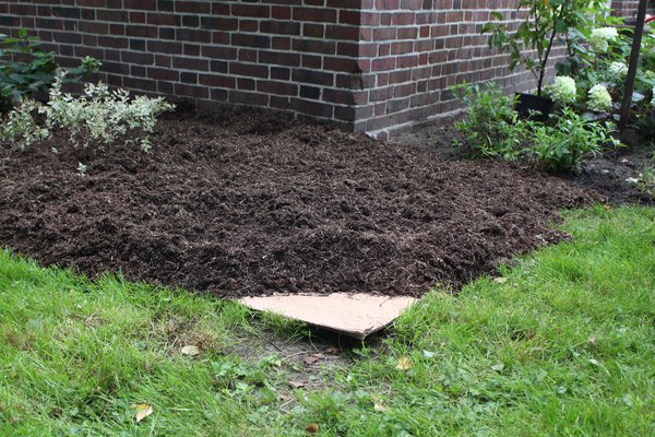 Kompostbeet anlegen mit Pappe, Mulch, No Dig Gardening, Alternative zu Unkrautvlies
