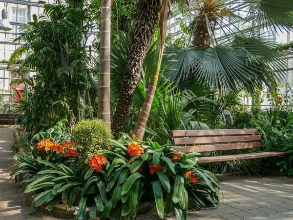 Der Botanische Garten Potsdam