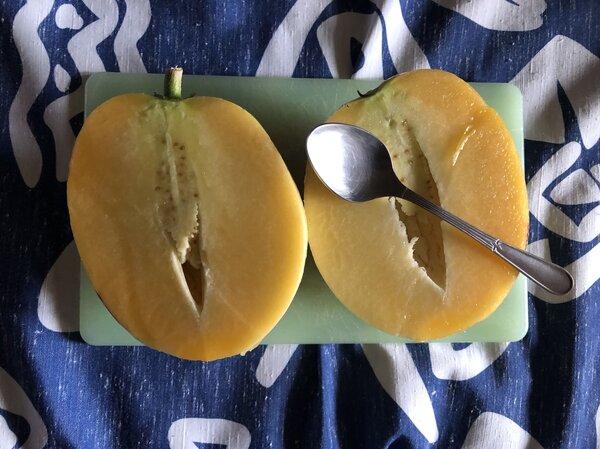 Pepino, Solanum muricatum