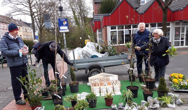 Pflanzentauschbrse Rotthauser Bienenfest Generationennetz Gelsenkirchen e. V.