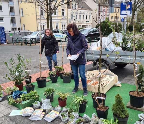 Pflanzentauschbrse Rotthauser Bienenfest Generationennetz Gelsenkirchen e. V.