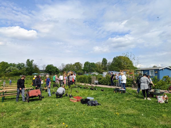 Pflanzentauschbrse Kleingartenverein Gartenfreunde Eichbaumsee e.V. 