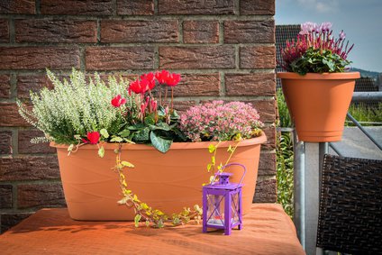 Balkon mit herbstlicher Bepflanzung