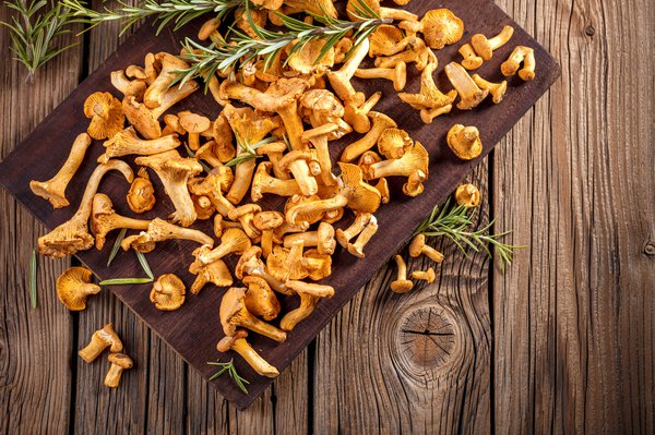 Frische Pfifferlinge