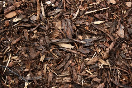 Rindenmulch