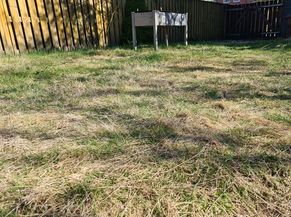 Mein erster Garten, der Garten im Mrz, Hausgarten, Rasen, Garten, Hochbeet, Jana Laura Lange