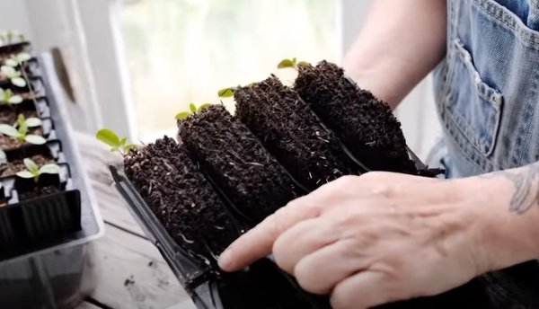 Gartenvideo, Roottrainer, Anzuchttöpfe selber machen