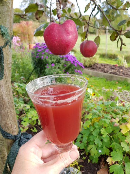 Redlove-Saft Ranka Tessin