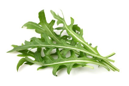 Ruccola leaves in closeup