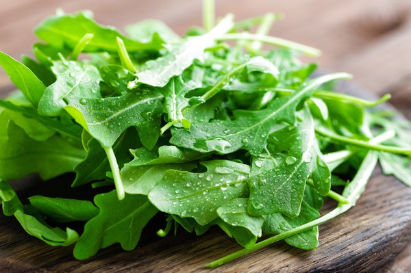 Erntereife erkennt man an den Rucola Blättern.