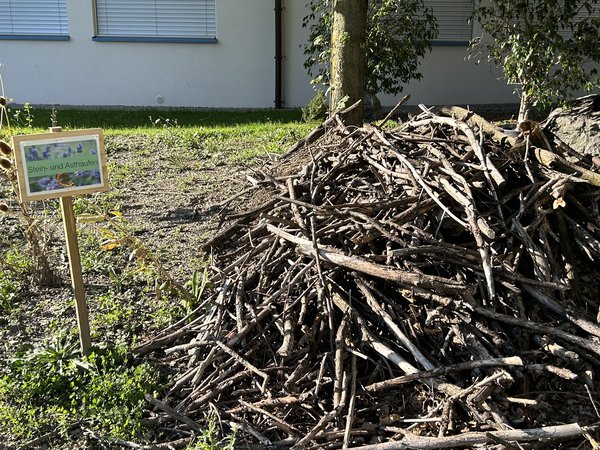 Steinhaufen, Asthaufen, Schulgarten