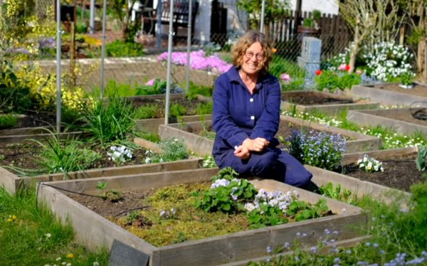 Erdbeeren mulchen, Gartenvideo, Anja