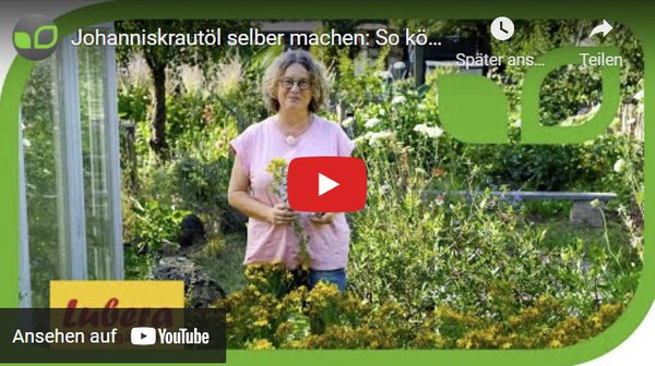 Gartenvideo, Anja und Andreas, johannsikrautöl