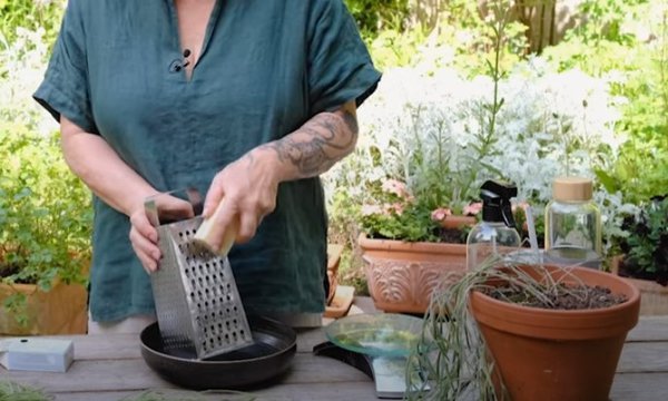 Gartenvideo, Schmierseife gegen Blattläuse